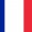 France Mullet Wig